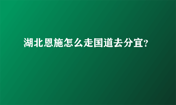 湖北恩施怎么走国道去分宜？