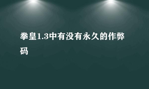 拳皇1.3中有没有永久的作弊码
