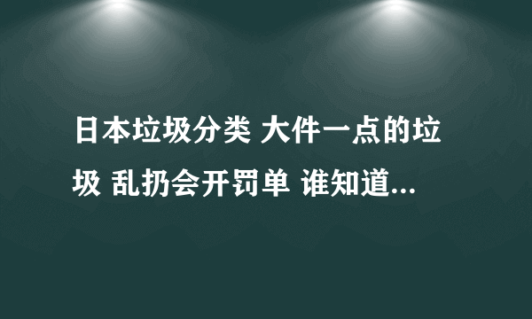 日本垃圾分类 大件一点的垃圾 乱扔会开罚单 谁知道这件垃圾是谁的 开张罚单给谁看