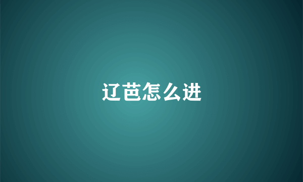 辽芭怎么进