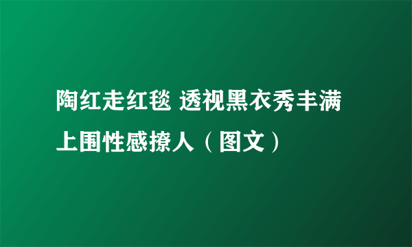 陶红走红毯 透视黑衣秀丰满上围性感撩人（图文）