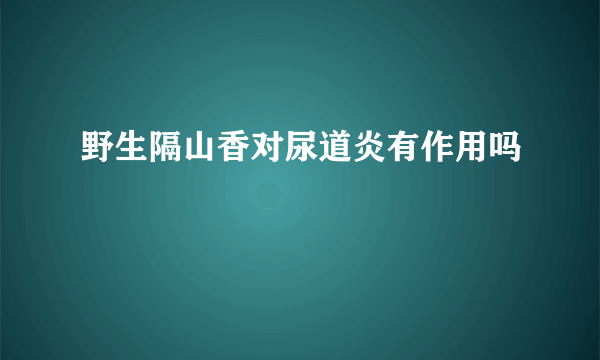 野生隔山香对尿道炎有作用吗