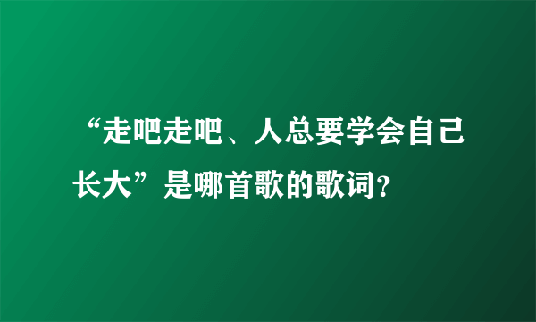 “走吧走吧、人总要学会自己长大”是哪首歌的歌词？
