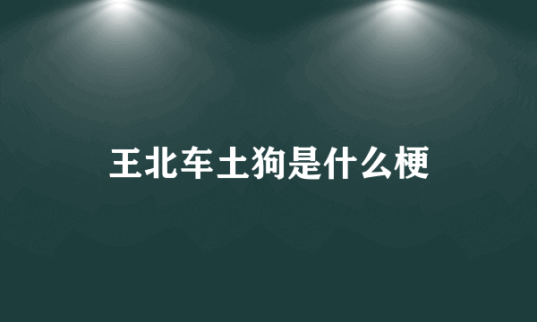 王北车土狗是什么梗