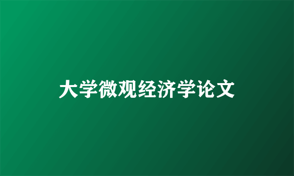 大学微观经济学论文