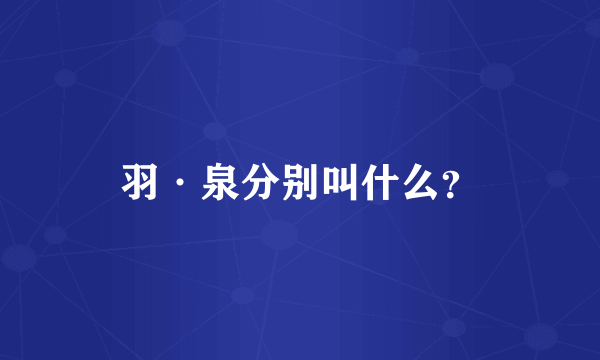 羽·泉分别叫什么？