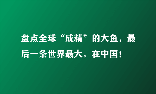 盘点全球“成精”的大鱼，最后一条世界最大，在中国！