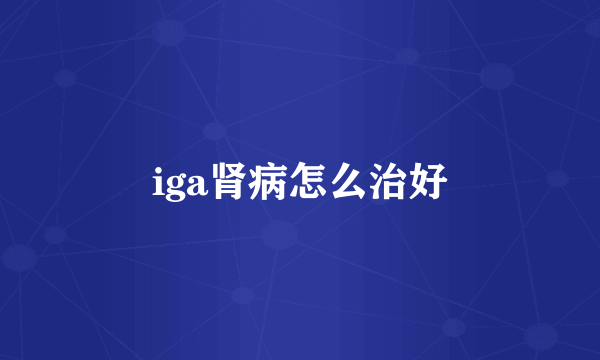 iga肾病怎么治好