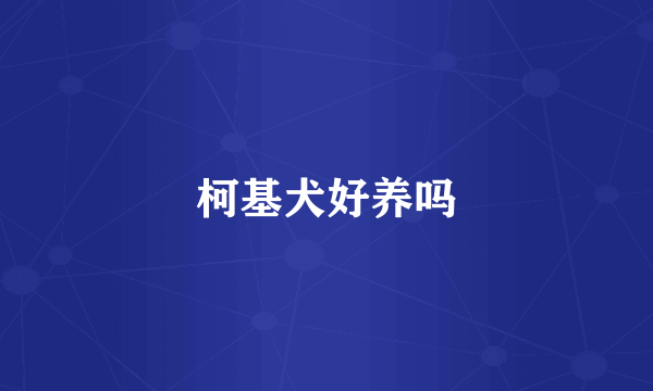 柯基犬好养吗