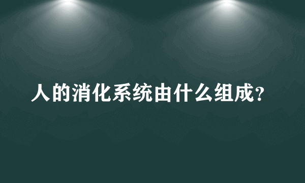 人的消化系统由什么组成？