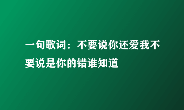 一句歌词：不要说你还爱我不要说是你的错谁知道