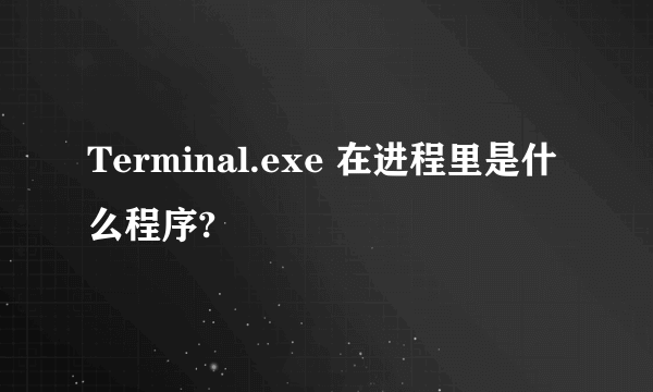 Terminal.exe 在进程里是什么程序?