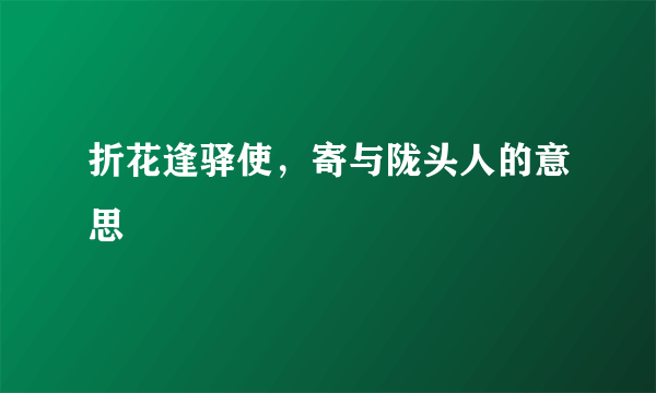 折花逢驿使，寄与陇头人的意思
