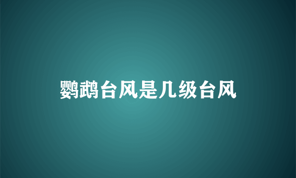 鹦鹉台风是几级台风