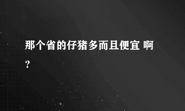 那个省的仔猪多而且便宜 啊？