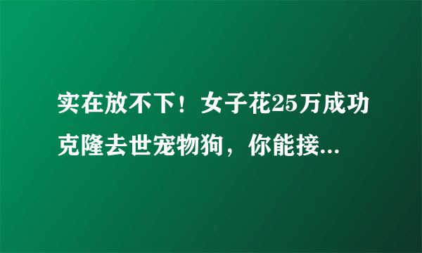 实在放不下！女子花25万成功克隆去世宠物狗，你能接受克隆动物吗？