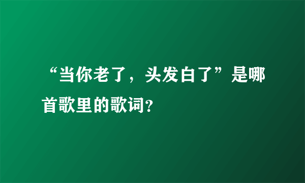 “当你老了，头发白了”是哪首歌里的歌词？