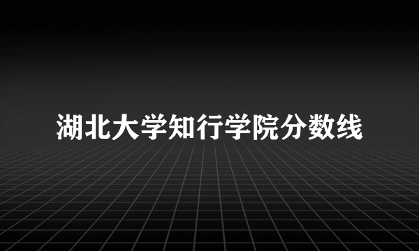 湖北大学知行学院分数线