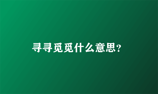 寻寻觅觅什么意思？