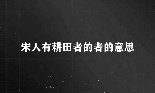 宋人有耕田者的者的意思