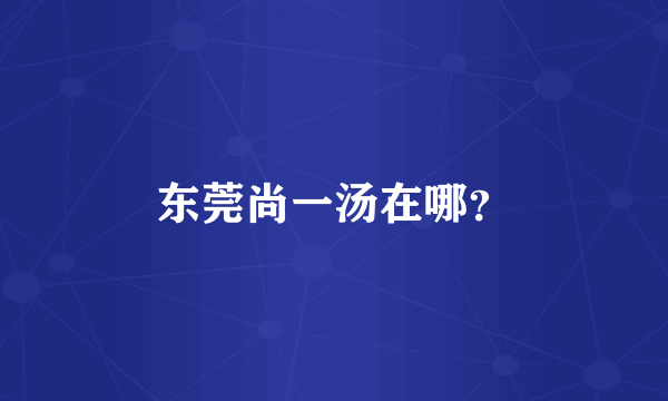 东莞尚一汤在哪？