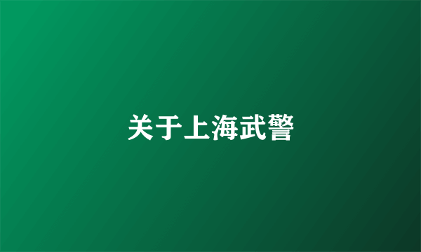关于上海武警