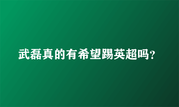 武磊真的有希望踢英超吗？