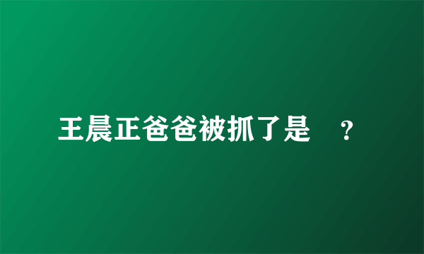 王晨正爸爸被抓了是嗎？