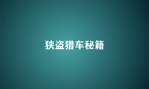 狭盗猎车秘籍