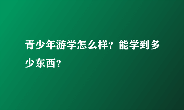 青少年游学怎么样？能学到多少东西？