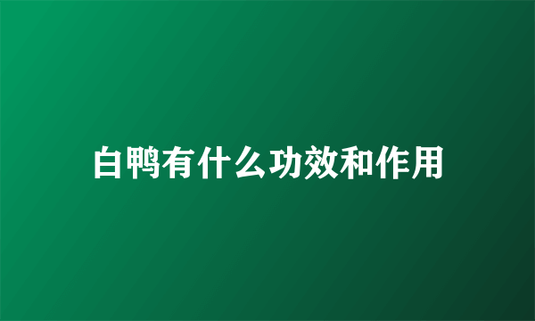 白鸭有什么功效和作用