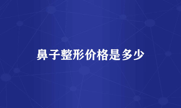 鼻子整形价格是多少