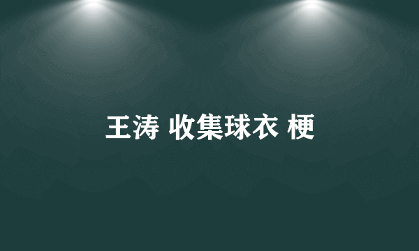 王涛 收集球衣 梗