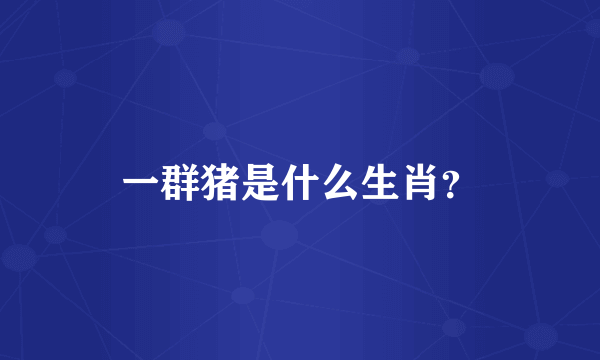 一群猪是什么生肖？
