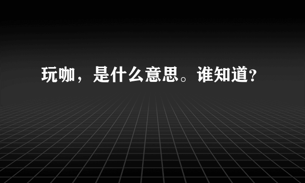 玩咖，是什么意思。谁知道？