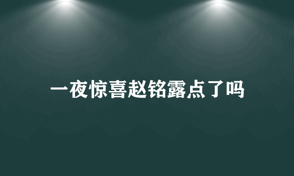 一夜惊喜赵铭露点了吗