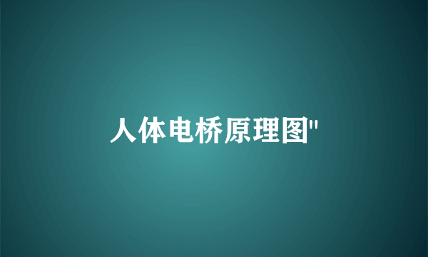 人体电桥原理图