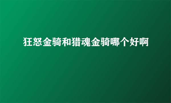 狂怒金骑和猎魂金骑哪个好啊