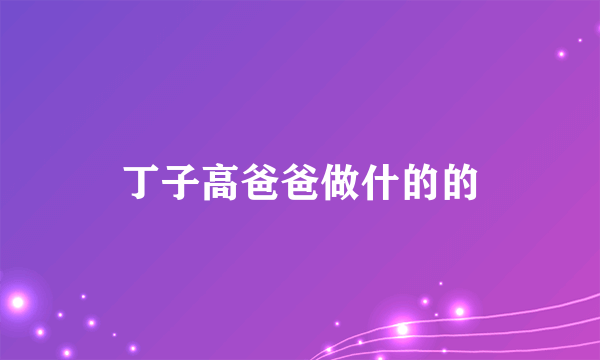 丁子高爸爸做什的的