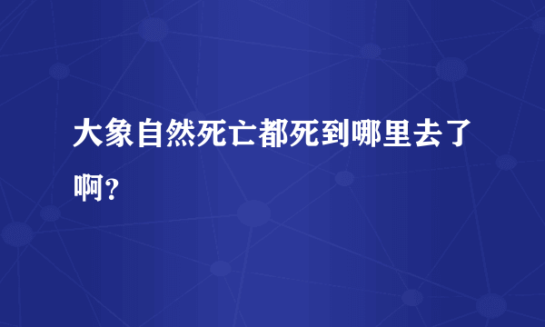 大象自然死亡都死到哪里去了啊？