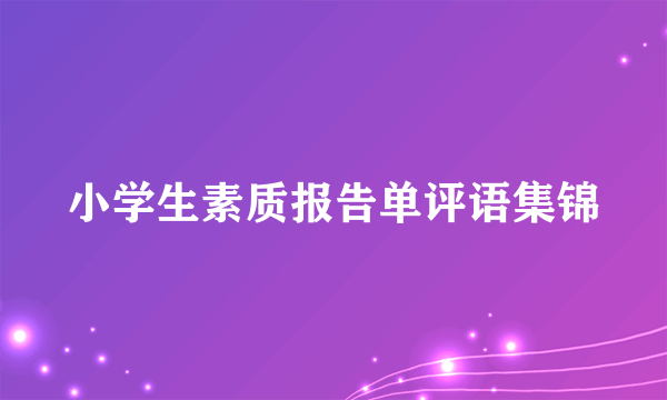 小学生素质报告单评语集锦
