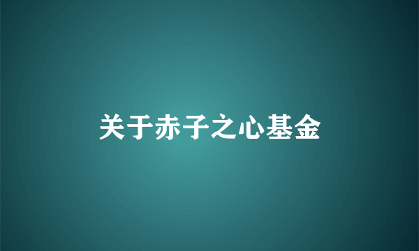 关于赤子之心基金
