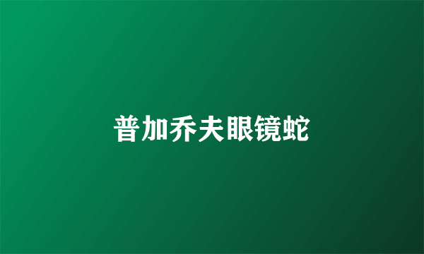 普加乔夫眼镜蛇