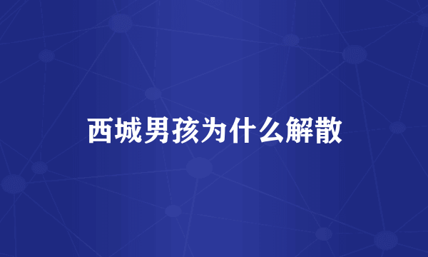西城男孩为什么解散