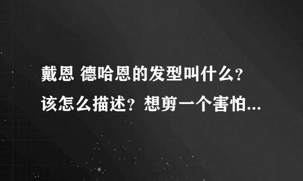 戴恩 德哈恩的发型叫什么？该怎么描述？想剪一个害怕到了理发店不懂说！