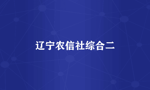 辽宁农信社综合二