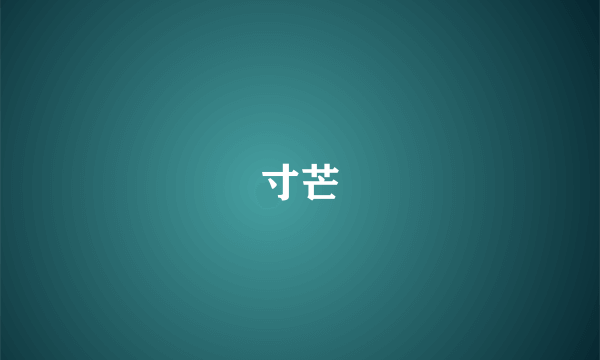 寸芒