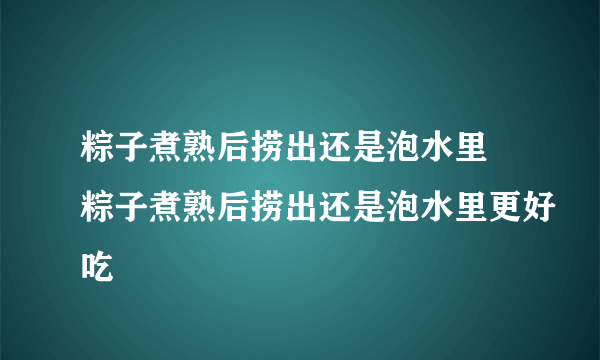 粽子煮熟后捞出还是泡水里 粽子煮熟后捞出还是泡水里更好吃