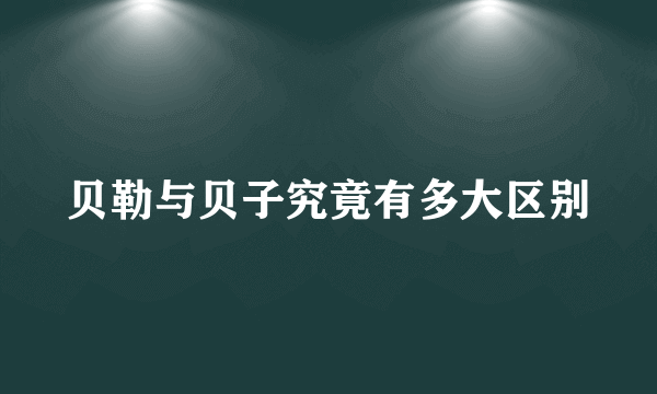 贝勒与贝子究竟有多大区别