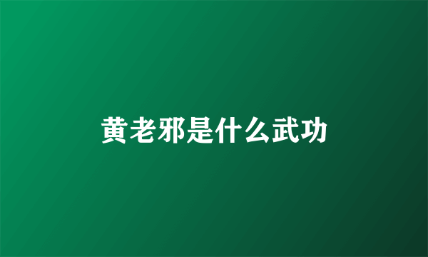 黄老邪是什么武功